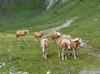 Tocht Te voet Breno - Gaver - Lago Nero - Photo