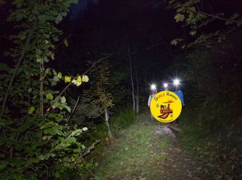 Tour Wandern Ermenonville - RT_ERMENONVILLE_CROIX-NEUVE(Nocturne)_9.8Km - Photo