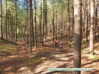 Percorso Marcia Merlimont - 8k-ParcoursDuCoeur2022 - Photo