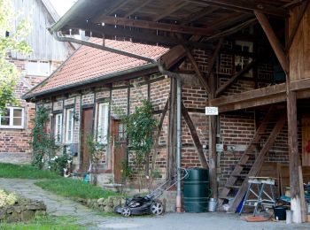 Percorso A piedi Selm - Hüttenweg Lünen - Selm-Beifang - Photo