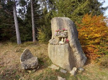 Excursión Senderismo La Trinitat - les Fajoux - Photo