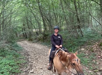 Trail Horseback riding Beaufort - Beaufort Roybon 18082021 - Photo