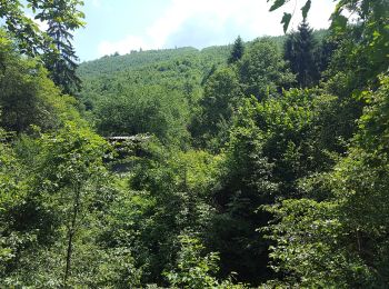 Tocht Te voet Covasna - Covasna - Valea Chetagului - Poiana Iacob - Photo