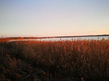 Excursión Senderismo Nonsard-Lamarche - madine dec 2020 - Photo