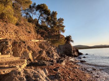 Trail Walking La Londe-les-Maures - Plage de l'Argentière à Cabasson en A/R-14-01-22 - Photo