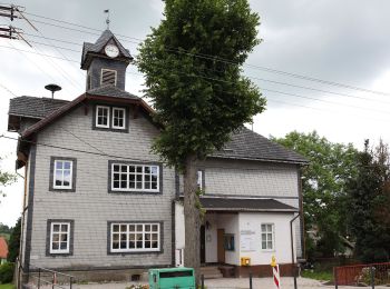 Randonnée A pied Frankenblick - Rundwanderweg Theuern 1 - Photo