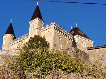 Tour Wandern Saint-Jean-le-Vieux - forêt de Saint Jean - Photo