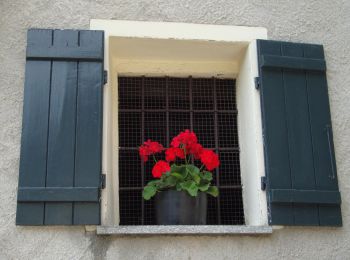 Percorso A piedi Valle Cannobina - S14 Orasso - Alpe Pluni - Photo