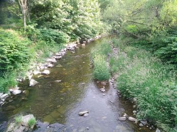 Trail Mountain bike Sentheim - AperoDioller - Photo