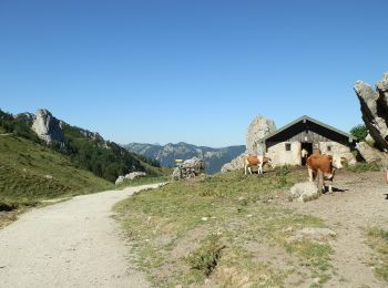 Trail On foot Grassau - Genial Vital 8 - Photo