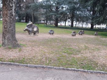 Randonnée Marche Nevers - boucle Nevers  - Photo