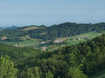 Tour Zu Fuß Val di Nizza - Anello di Cascina Serzego - Photo