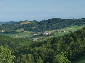 Trail On foot Val di Nizza - Anello di Cascina Serzego - Photo