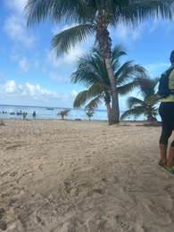 Trail Trail Sainte-Anne - Bira - Photo