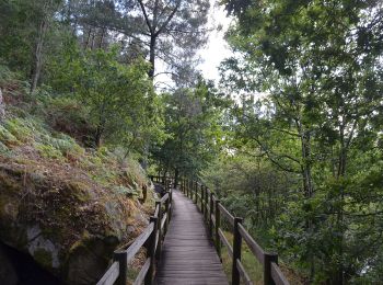 Percorso A piedi Arbo - Sendeiro da Moura - Photo