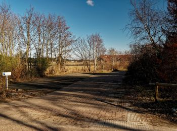 Tour Zu Fuß Texel - Natuurpad Alloo - Photo