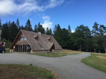 Tour Zu Fuß Saint-Setiers - Rando 8km autour de Vieillemaison - Photo