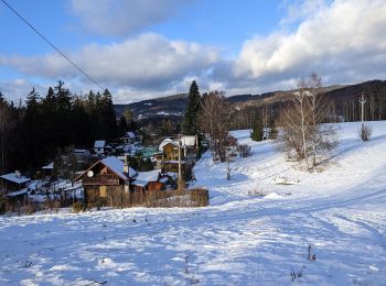 Tour Zu Fuß Reichenberg - [Ž] Nad Kunraticemi - Milíře - Photo