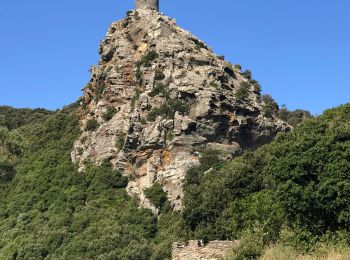 Trail Walking Pino - Randonnée Cap Corse  - Photo