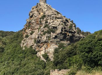 Tocht Stappen Pino - Randonnée Cap Corse  - Photo