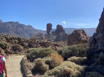 Tour Wandern La Orotava - Rocque Martin - Photo