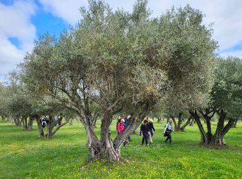 Tour Wandern Les Arcs-sur-Argens - LES ARCS - LE MUY - LA MOTTE - SAINTE ROSELINE ET VALBOURGES - Photo