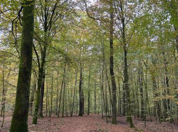 Excursión sport Saint-Léger - Châtillon  - Photo