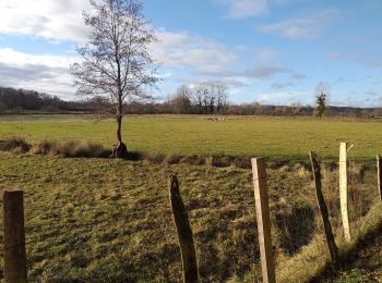 Tocht Stappen Moncey - Moncey - Valeroy  - Photo