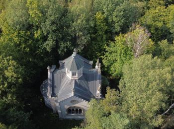 Tour Zu Fuß Großheirath - Steinlegendenweg - Photo