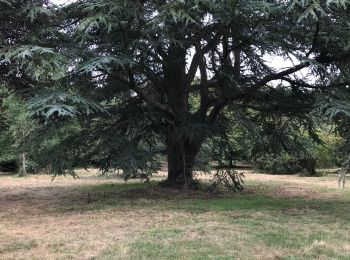 Randonnée Autre activité Le Chesnay-Rocquencourt - Arboretum de Chevreloup - Photo