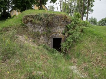 Randonnée A pied Auerbach in der Oberpfalz - Neuhaus-Rundwanderweg No.9 - Photo