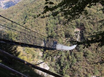 Trail On foot Bellinzona - San Bernardo-San Defendente - Photo