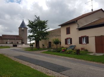 Excursión Senderismo Tarquimpol - LINDRE BASSE - AUTOUR DES ETANGS DE DIEUZE - Photo