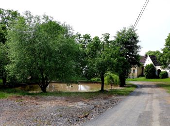 Tour Zu Fuß Tschernoschin - naučná stezka Krajinou bitvy u Třebele - Photo