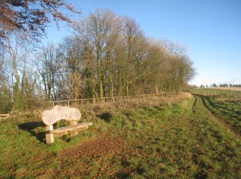 Percorso A piedi Wychavon - Wychavon Way (old) - Photo