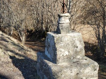 Excursión Senderismo Égliseneuve-d'Entraigues - Les cascades d'Eglineuve - Photo