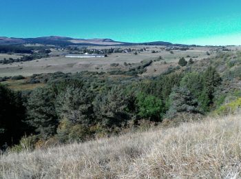 Tour Wandern Aydat - 2019-09-13 -Puy de Combegrasse - Narse d'Espinasse - Photo