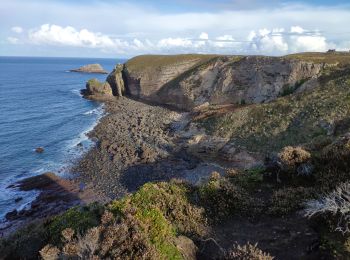 Trail Walking Plévenon - Bretagne 2021 : cap Fréhel - Photo