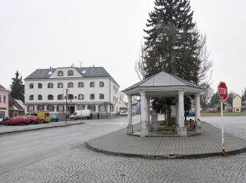 Tour Zu Fuß Hochstadt an der Iser - [Ž] Vysocký okruh - Photo