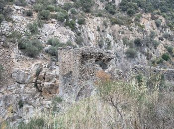 Randonnée Marche Ille-sur-Têt - De Ille à rodés  - Photo