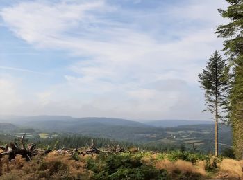 Trail Electric bike Champeau-en-Morvan - saint leger de fourches 270822 - Photo