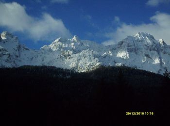 Percorso A piedi Vodo di Cadore - Via normale Monte Pelmo - Photo