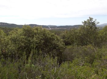 Randonnée Marche Roquefort-la-Bédoule - la petite sainte baume - Photo