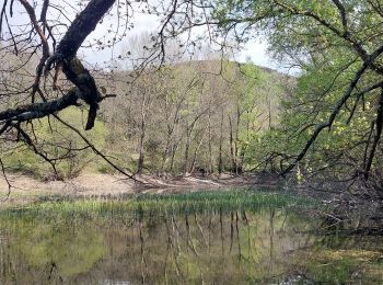 Randonnée Marche Souspierre - Souspierre: Serre Forillon 9km - Photo