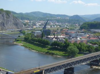 Percorso A piedi Ústí nad Labem - NS Větruše - Vrkoč - Photo