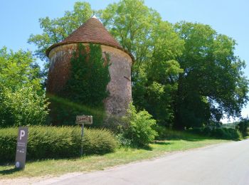 Randonnée Marche Saché - Saché - Villaines-les-Rochers GR46A - 17.8km 280m 3h40 - 2019 03 31 - Photo