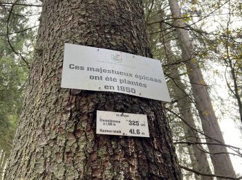 Randonnée Marche Stavelot - Francorchamps - Photo