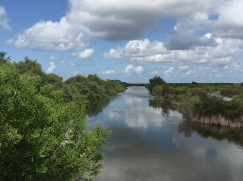 Trail Walking Audenge - Boucle Port d’Audenge - Photo