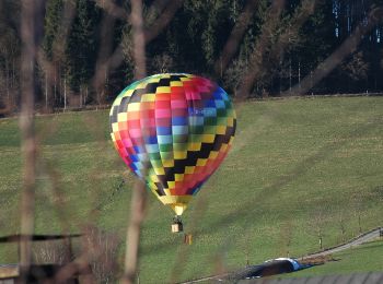 Percorso A piedi Schmallenberg - Dorlar Rundweg D12 - Photo