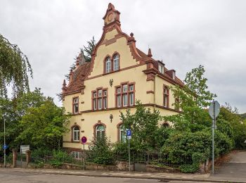 Randonnée A pied Landstuhl - Rundwanderweg Landstuhl L2 - Photo